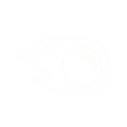 Semrush logo representing SEO and digital marketing analytics.